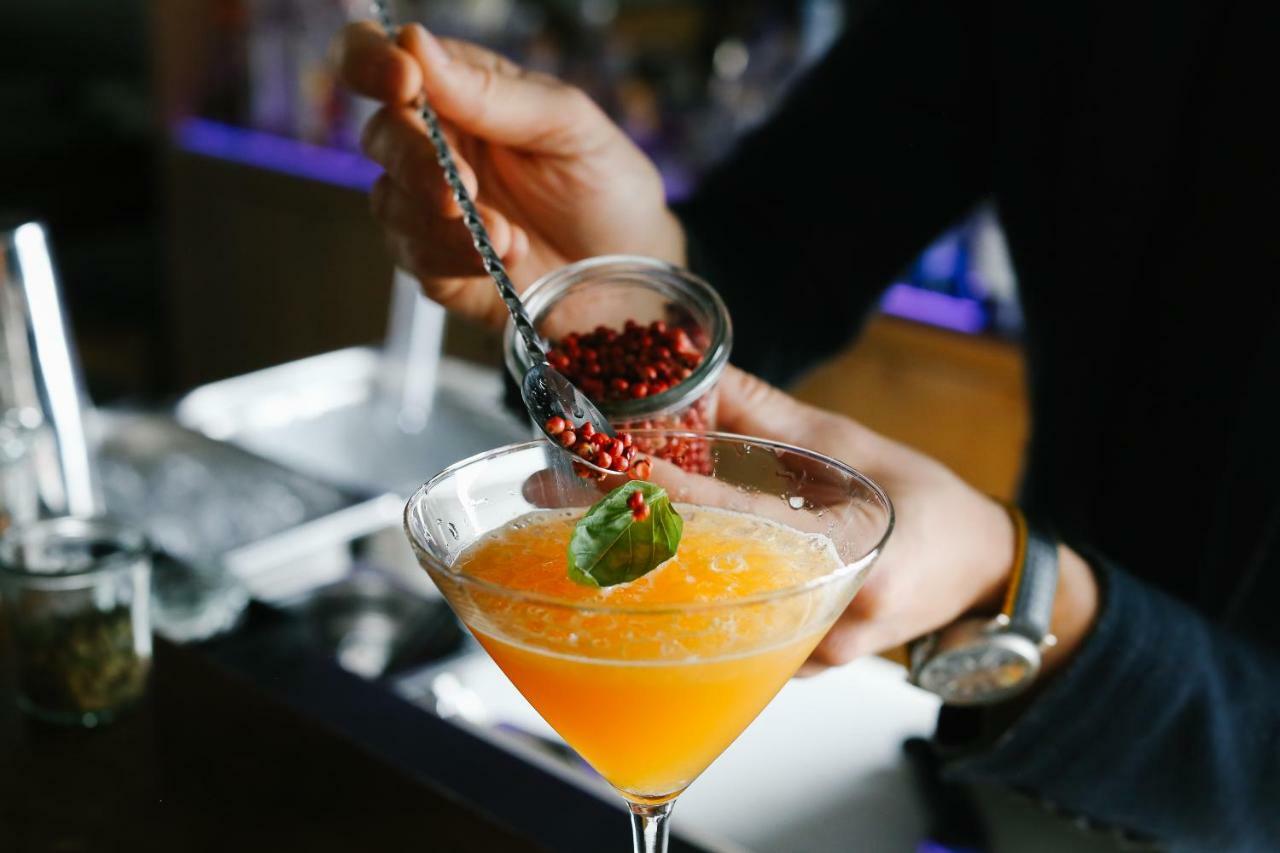 尼拉阿尔皮纳酒店 席尔瓦普拉纳 外观 照片